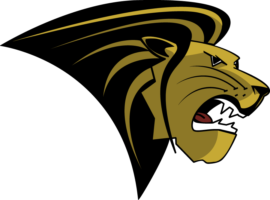 Lindenwood Lions 2004-2010 Primary Logo diy iron on heat transfer